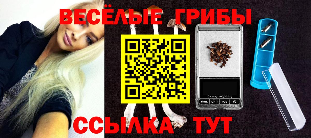 Псилоцибиновые грибы Magic Shrooms Междуреченск