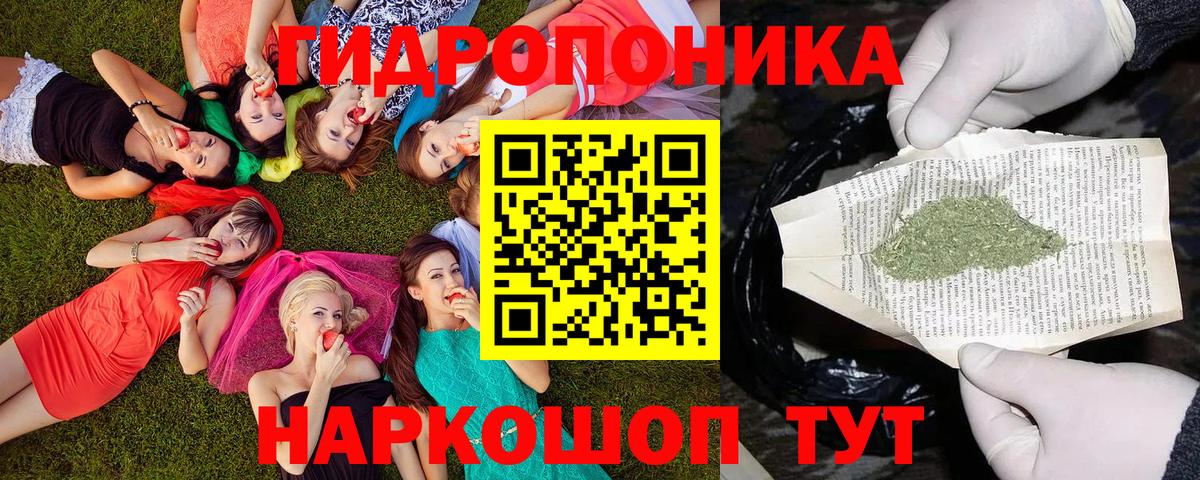 Канабис Bruce Banner Междуреченск